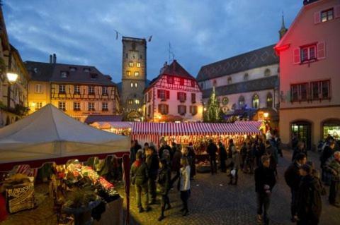 Chez Fretz Apartman Ribeauvillé Kültér fotó